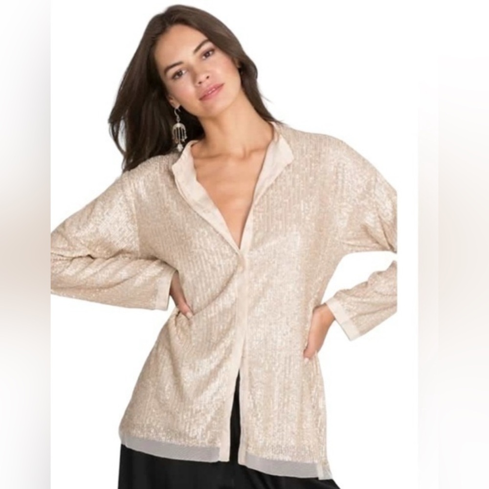 Johnny Was Grace Sequin Button-Down Long Sleeve Top Size XXL. New